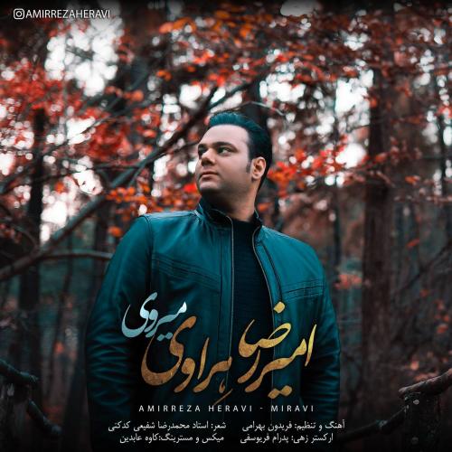 دانلود آهنگ ميروي
